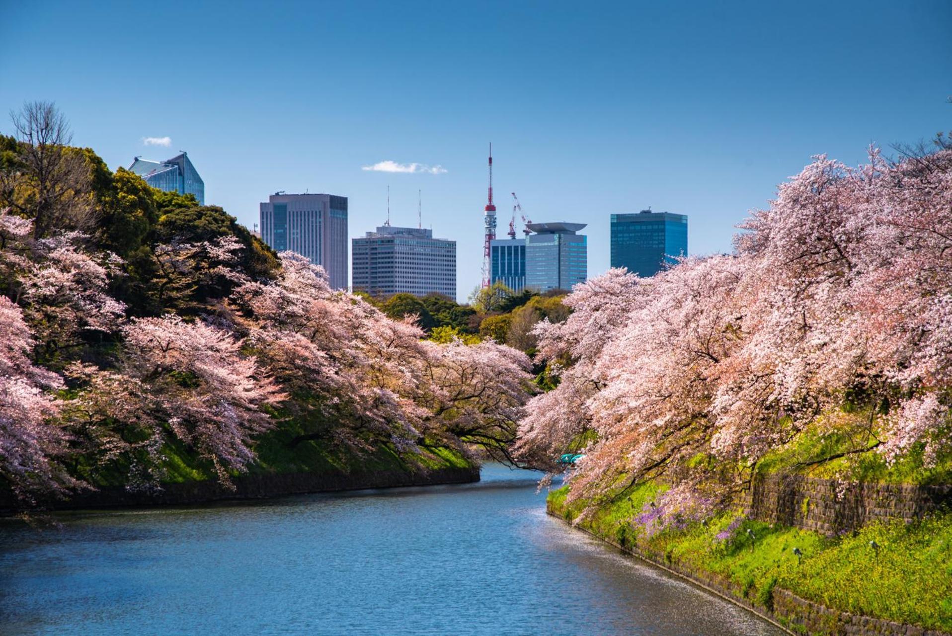 Four Seasons Hotel Tokyo at Marunouchi Eksteriør billede